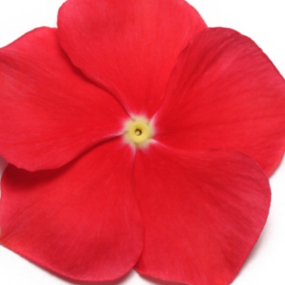 Meet your Posher, Megan - Picture 2 of 2